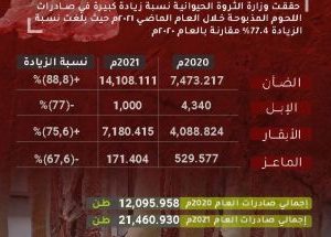 Sudanese meat exports increased last year by 77.4%