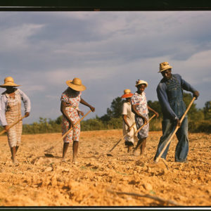 Ever more land and labour