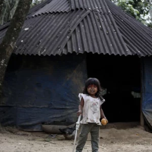 Indigenous land rights help protect Brazil’s forests