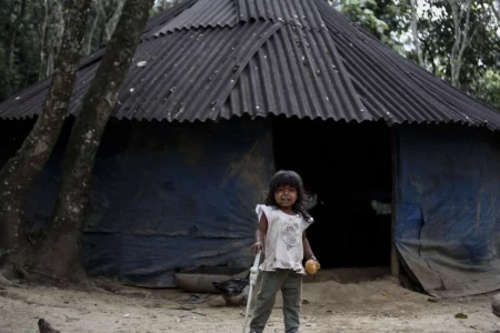 Indigenous land rights help protect Brazil’s forests