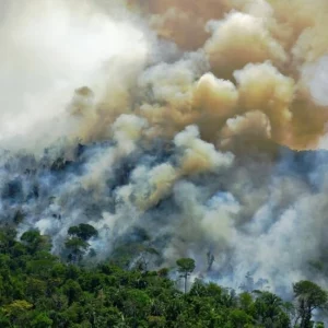 Brazil’s Lula seeks to reverse Amazon deforestation