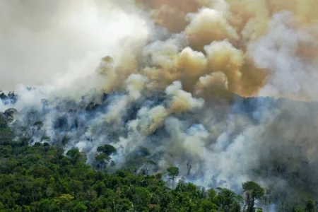 Brazil’s Lula seeks to reverse Amazon deforestation