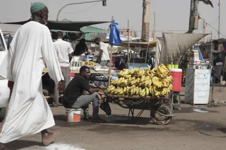 UN agencies warn of starvation risk in Sudan, call for urgent aid