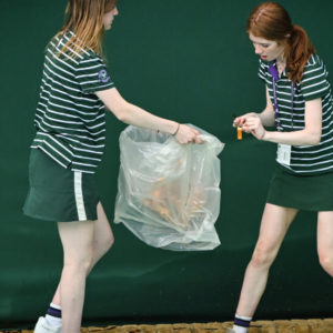 Wimbledon disrupted by climate protests