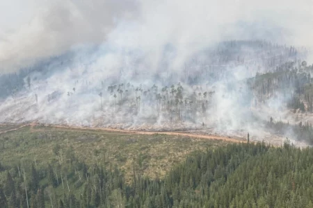 Canada wildfires burn over 10 mn hectares this year