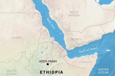 Ethiopia unveils joint Saudi probe into alleged migrant killings