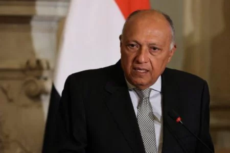 Egyptian Foreign Minister: Ethiopia has become a source of sowing turmoil in the region