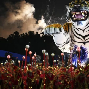 ‘Everyone jumping, everyone happy’: Rio celebrates carnival