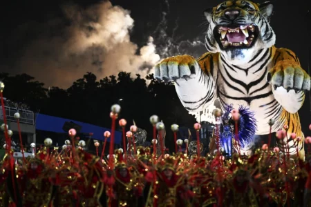 ‘Everyone jumping, everyone happy’: Rio celebrates carnival