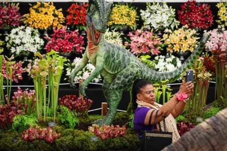 Changing climate influences London’s Chelsea Flower Show