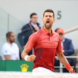 Injured Djokovic battles back to win French Open quarter-final