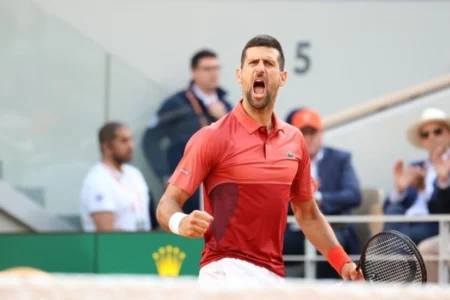 Injured Djokovic battles back to win French Open quarter-final