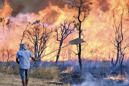 Brasilia wildfire rages across national park, threatening protected environments