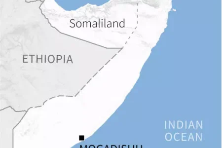 Ethiopian actions ‘flagrantly violate’ Somali territorial integrity: Somali PM