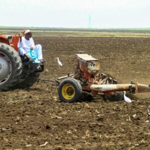 War decimates harvest in famine-threatened Sudan