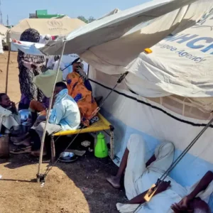 Over two-thirds of displaced families in east Sudan short of food: NGO