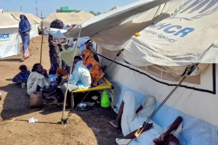 Over two-thirds of displaced families in east Sudan short of food: NGO